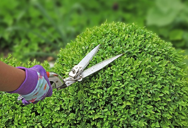 Aménagement paysager Eclairage de jardins Ermont